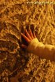 2011-02-04_Ferie_4D_-_Wycieczka_do_Kopalni_Soli_w_Wieliczce_[03].jpg
